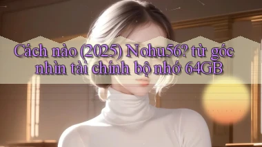 Cách nào (2025) Nohu56 từ góc nhìn tài chính bộ nhớ 64GB
