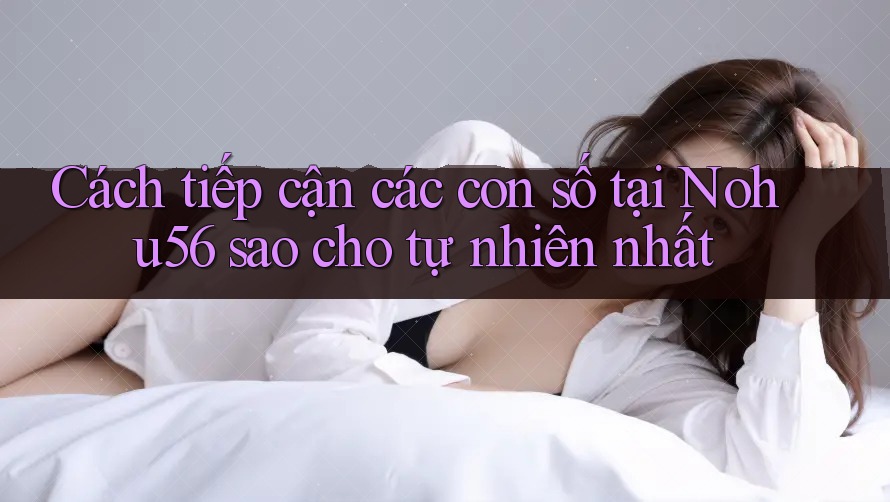 Cách tiếp cận các con số tại Nohu56 sao cho tự nhiên nhất