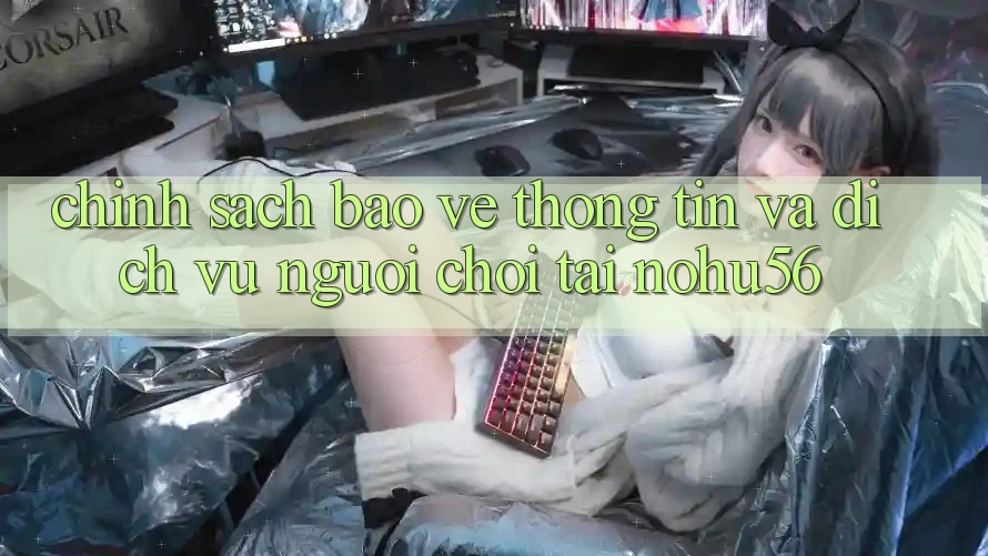 Chính Sách Bảo vệ thông tin Và Dịch Vụ Người chơi Tại nohu56