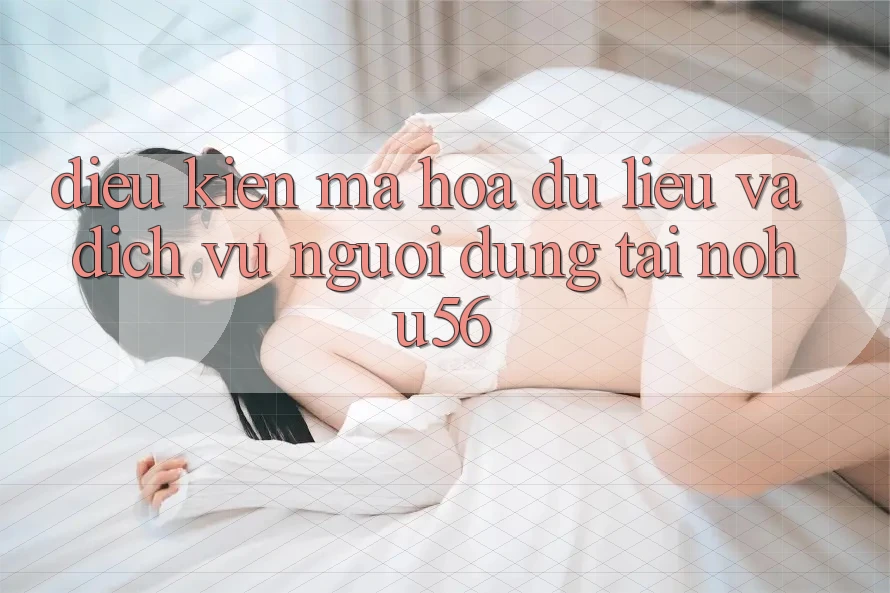 Điều kiện Mã hóa dữ liệu Và Dịch Vụ Người dùng Tại nohu56 Điều kiện Mã hóa dữ liệu Và Dịch Vụ Người dùng Tại nohu56