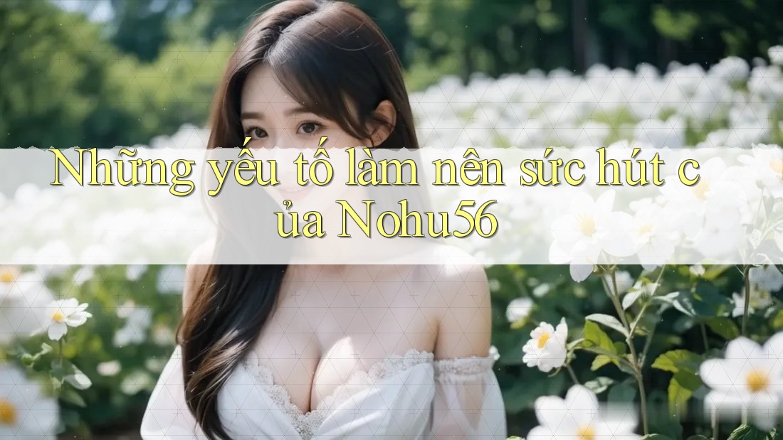 Những yếu tố làm nên sức hút của Nohu56 Những yếu tố làm nên sức hút của Nohu56