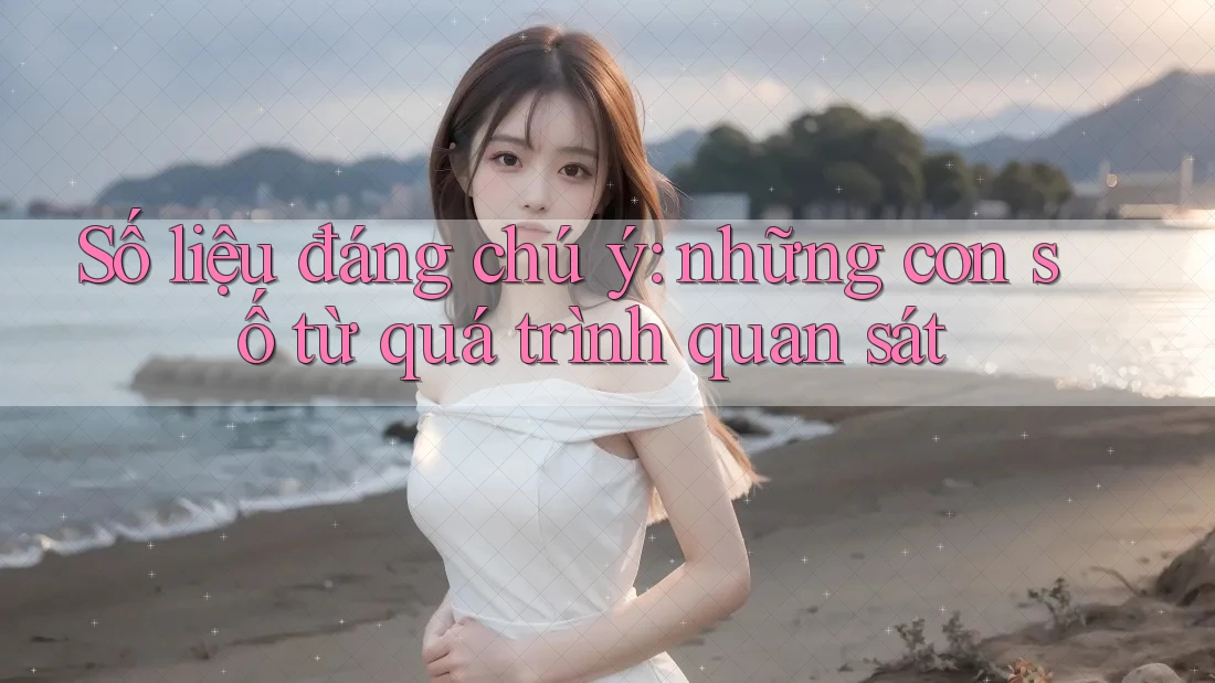 Số liệu đáng chú ý: những con số từ quá trình quan sát